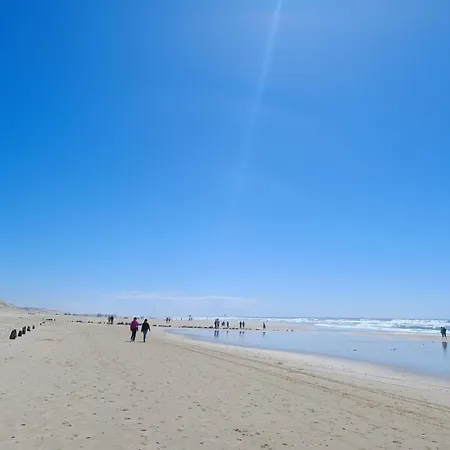 Mimizan Apt Neuf 85 M2 Trois Etoiles 50M Plage דירה Mimizan-Plage