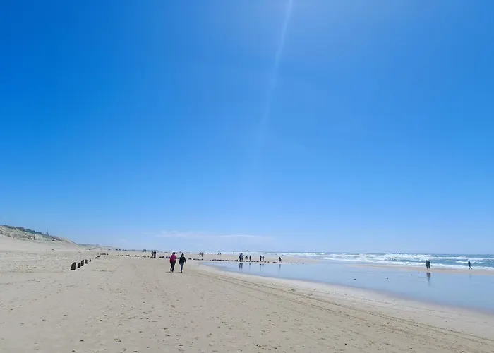 Neuf 80m2 +terrasse 100m Lejlighed Mimizan-Plage